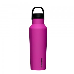 Berry Punch Corkcicle 20oz Series A Sport Canteen Insulated Water Bottle | ASIPF-2760