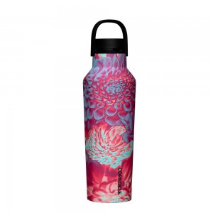 Dopamine Floral Corkcicle 20oz Series A Sport Canteen Insulated Water Bottle | MZHKY-1782