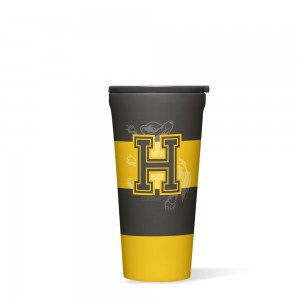 Hufflepuff Corkcicle 16oz Harry Potter Tumbler Water Bottle | DGPTZ-0984