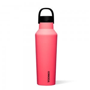 Paradise Punch Corkcicle 20oz Series A Sport Canteen Insulated Water Bottle | OUABH-7249