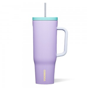 Purple Dolphin Corkcicle 40oz Cruiser Insulated Tumbler With Handle Water Bottle | GEUFR-8134