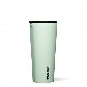 Sage Mist Corkcicle 24oz Sierra Tumbler Insulated Tumbler Cup Cup | KYVMP-9014