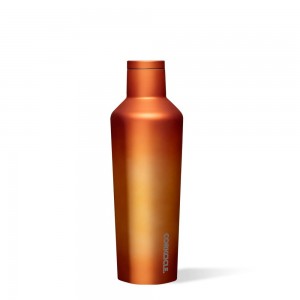 Solar Flare Corkcicle 16oz Dragonfly Canteen Water Bottle | EKZBP-5681